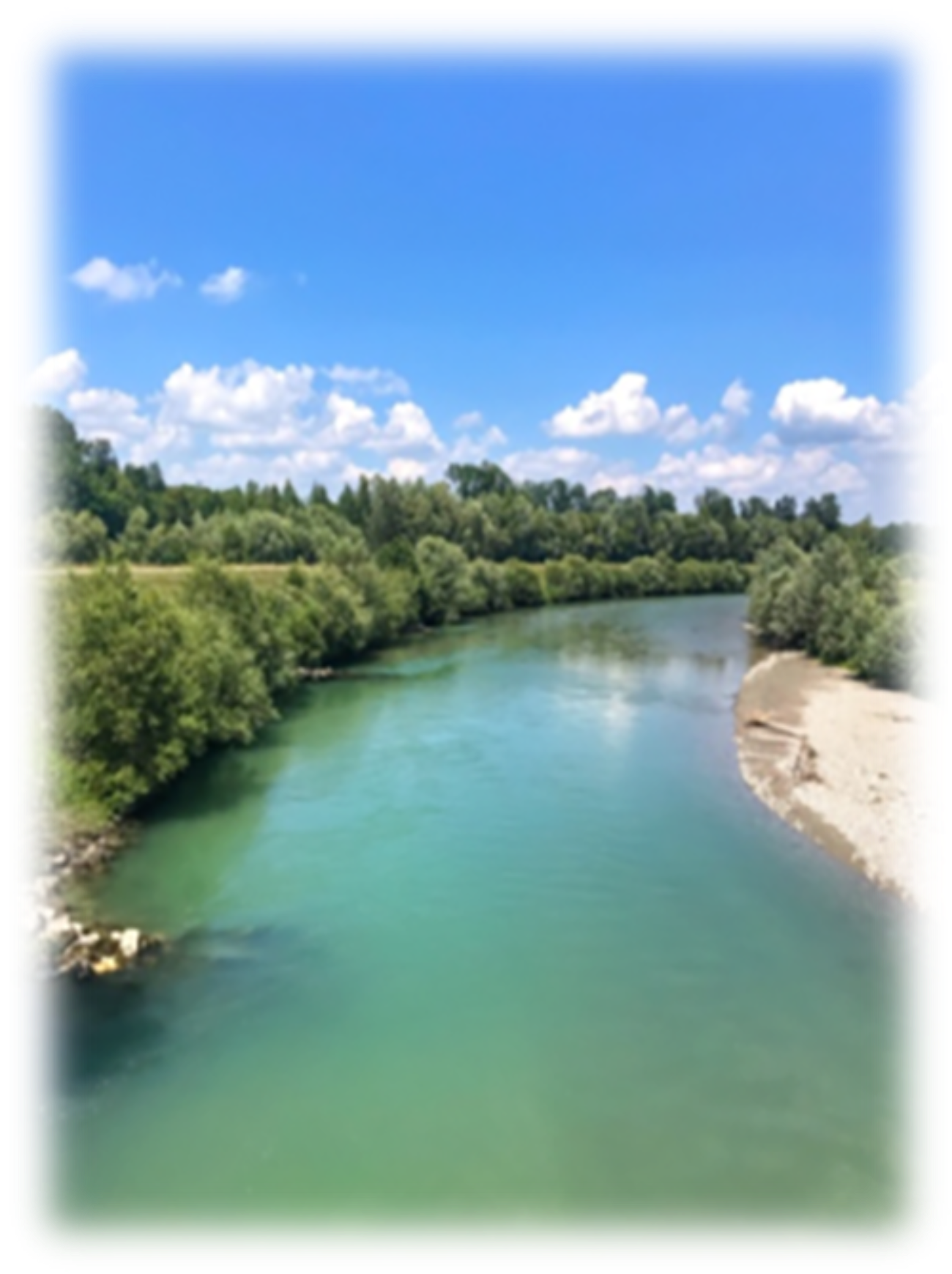 Ruhe in der Natur genießen und Seele in der Natur baumeln lassen bei Multipler Sklerose