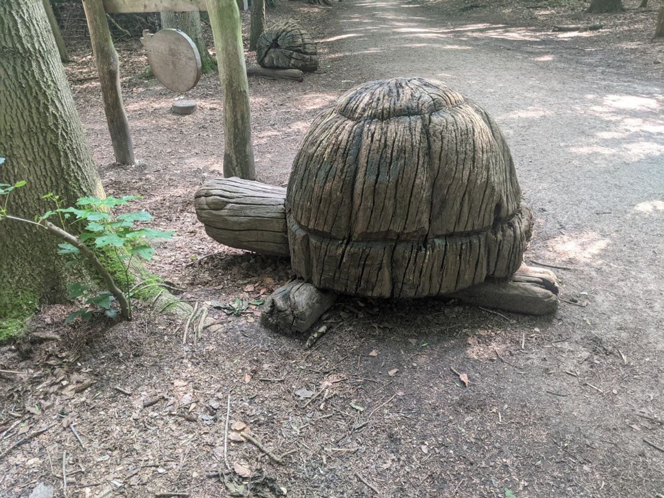 Große Schildkröte aus Holz auf einem Waldwe