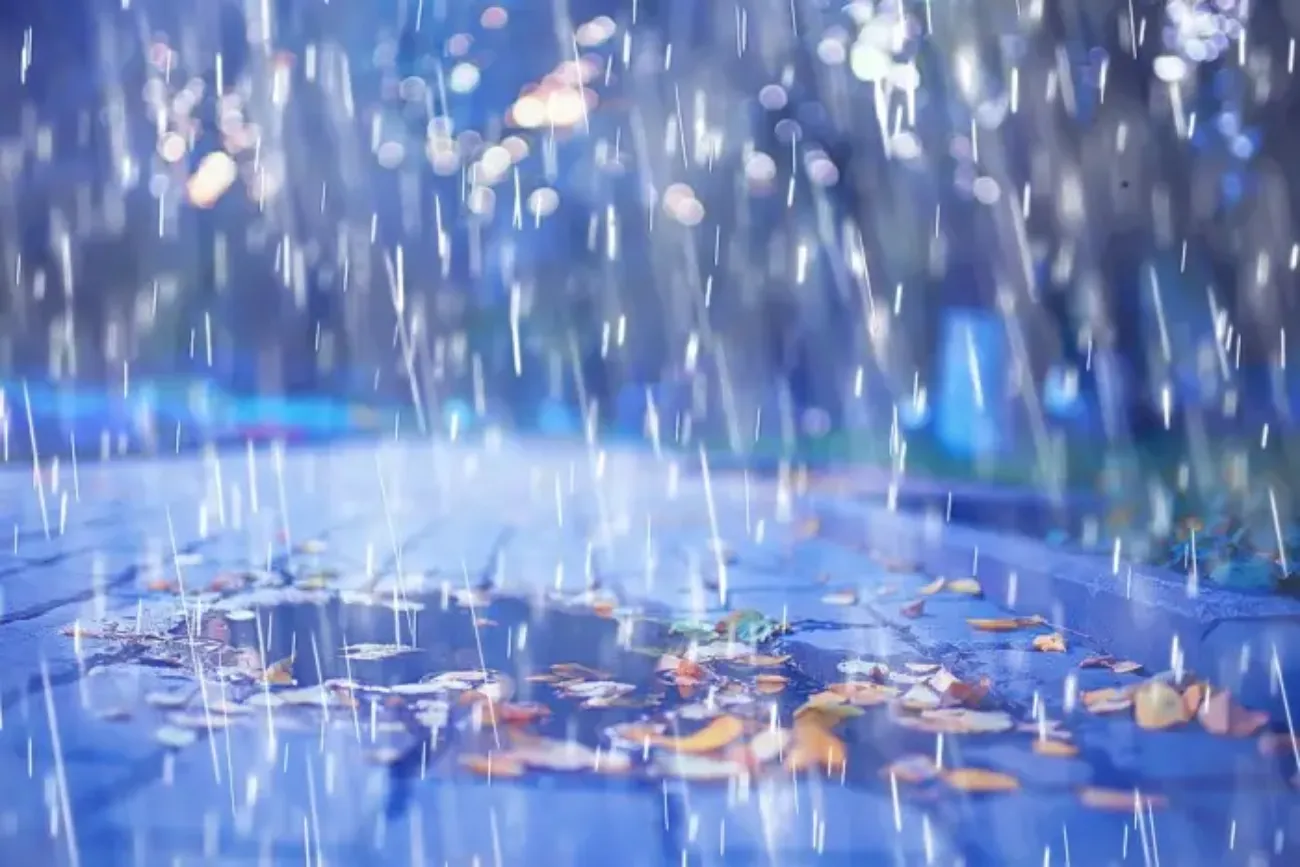 Regen und Laub