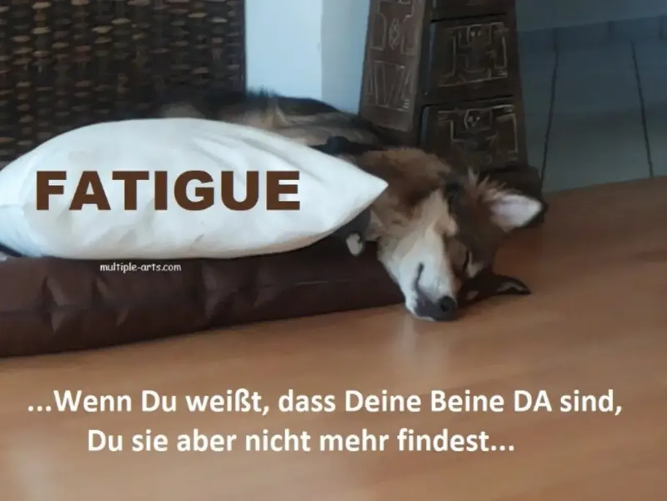 Bein-Fatigue