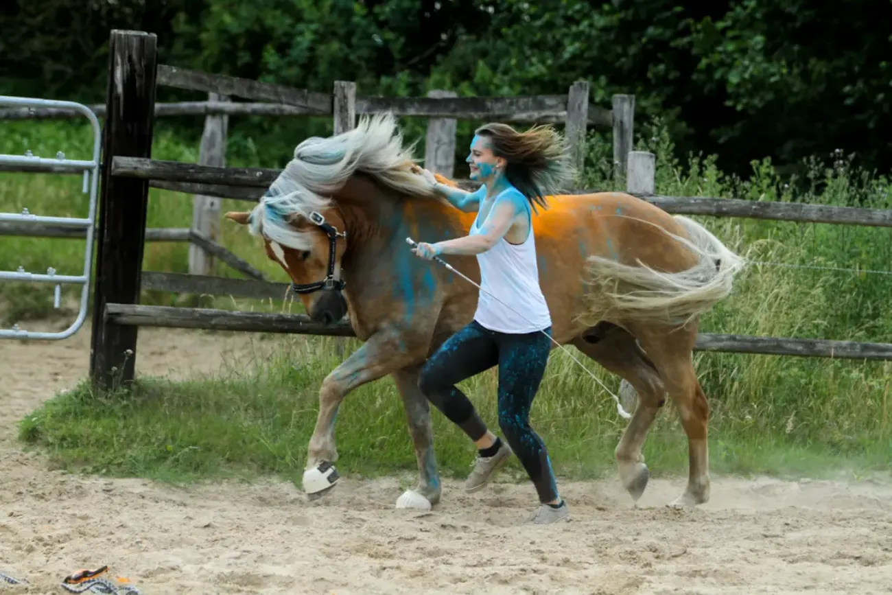 Selina mit Haflinger Noni