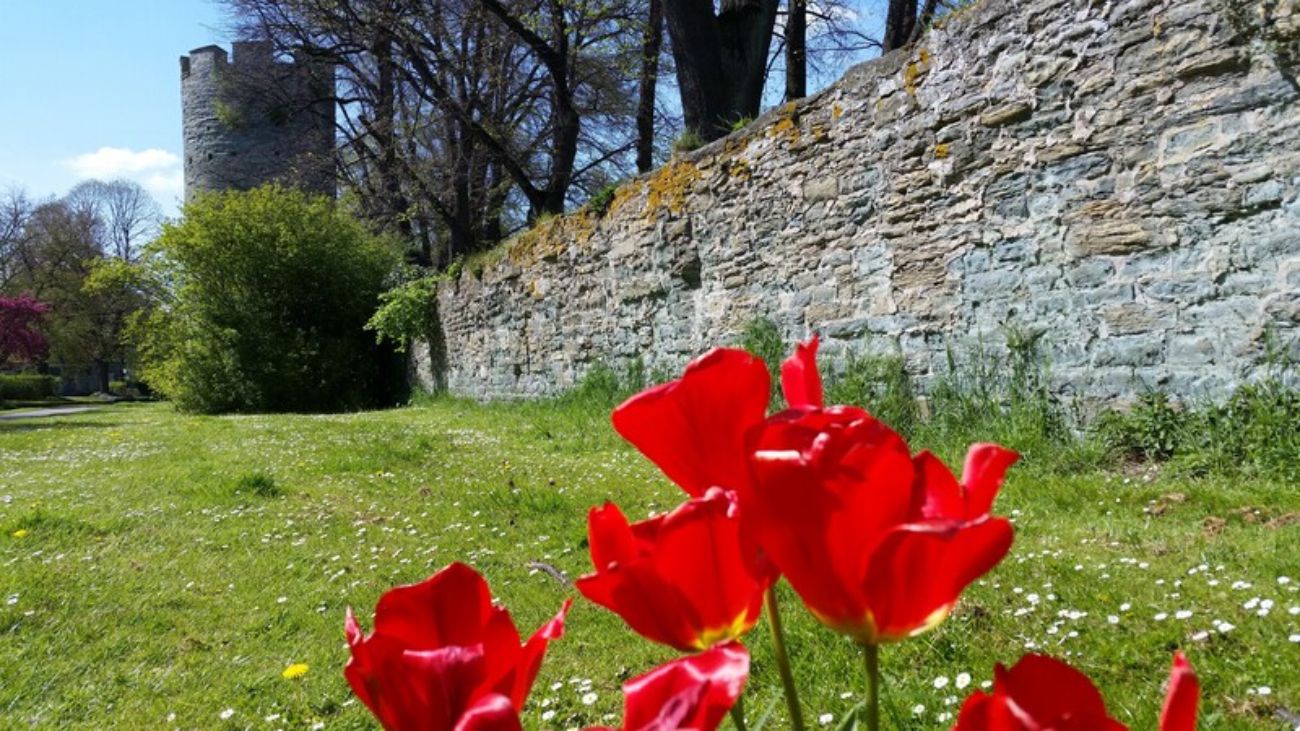 Stadtmauer Soest