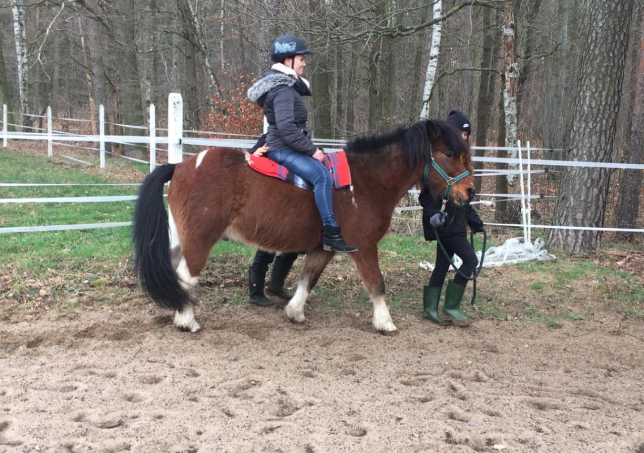 Reittherapie bei MS