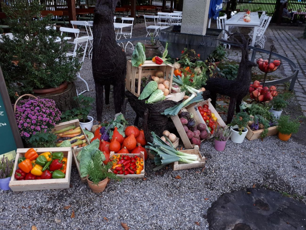 Multiple Sklerose Gemüsemarkt