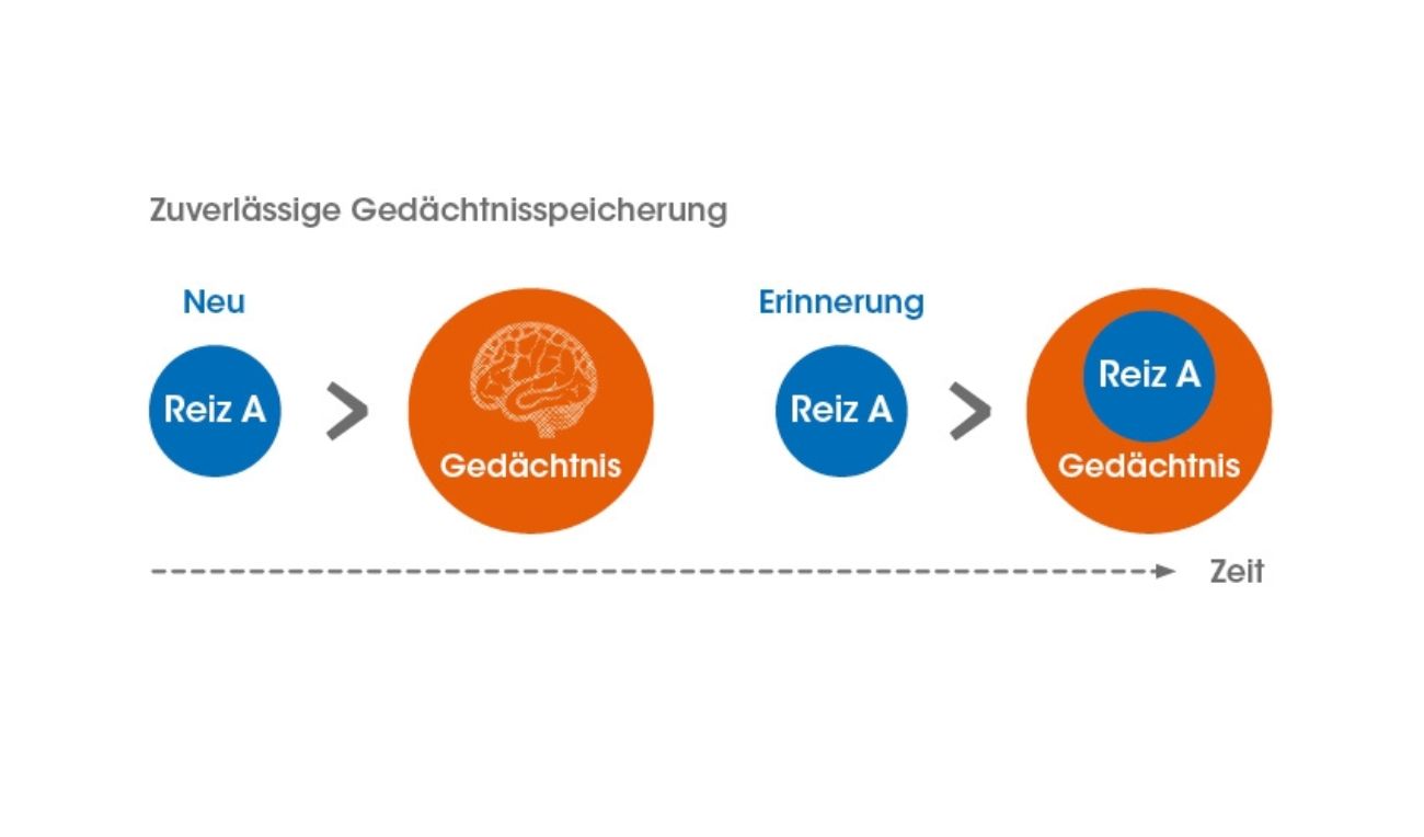 Zuverlaessige Gedaechnisspeicherung