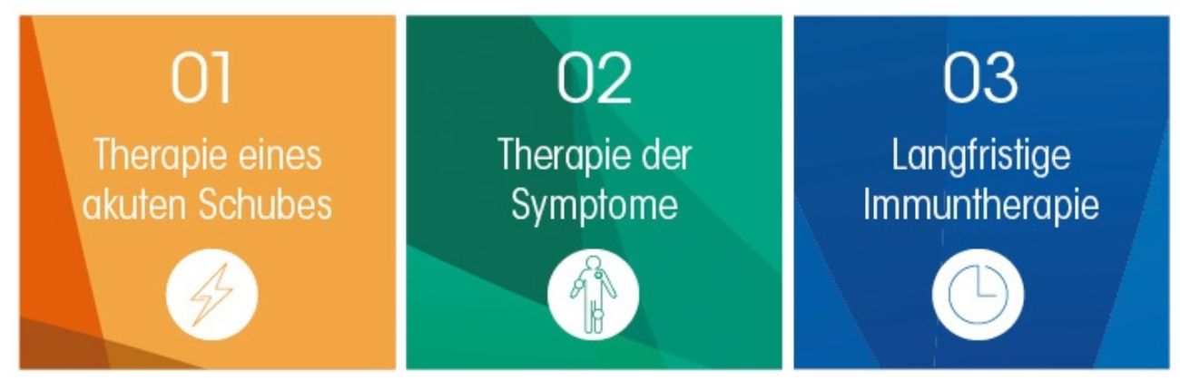 Die 3 Säulen der MS-Therapie