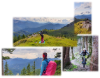 Raus in die Natur mit Multipler Sklerose