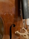 Cello MS Kognition Blogger
