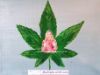 CBD-Öl – Heikes persönliches Wundermittel