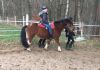 Reittherapie bei MS