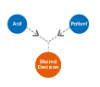 Shared Decision Making