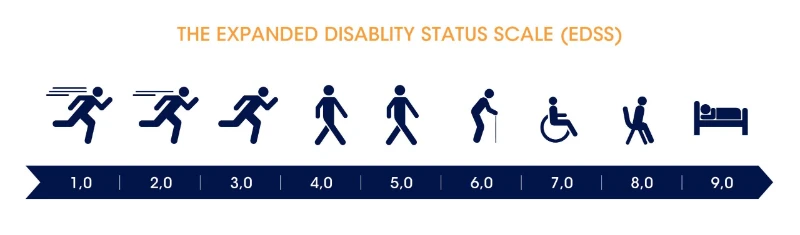 Wie wird Multiple Sklerose diagnostiziert? | MS Begleiter