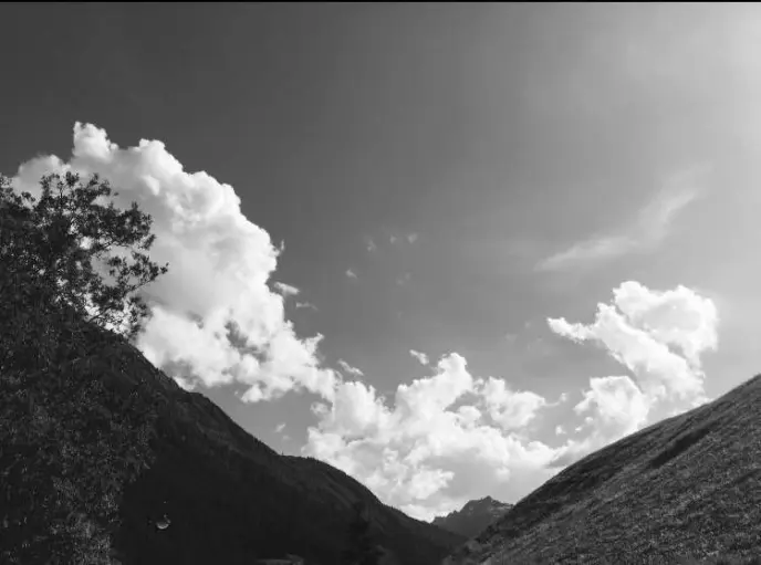 Gewinn und Verlust bei der MS