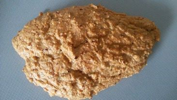Multiple Sklerose Brötchen
