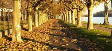 Romantischer Spaziergang