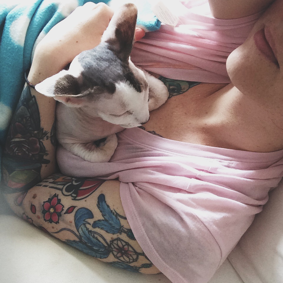 Paola und ihre Katzen