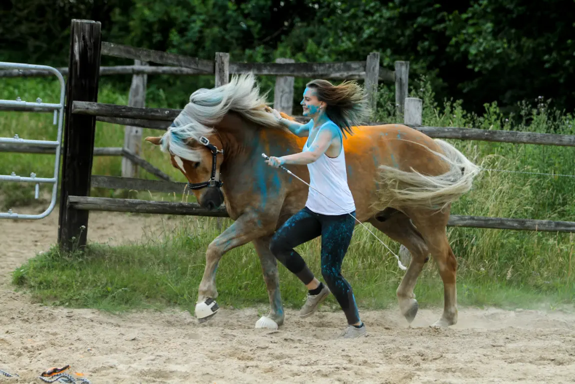 Selina mit Haflinger Noni